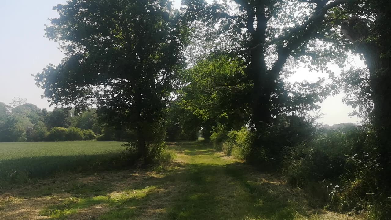 Plenty of High Crimes Jack The Ripper Crimes Certainly Not Mine