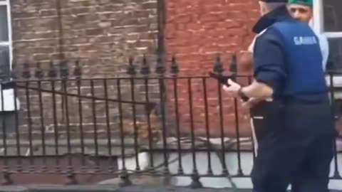 Gardai hands out a beating to a 3rd world invader.