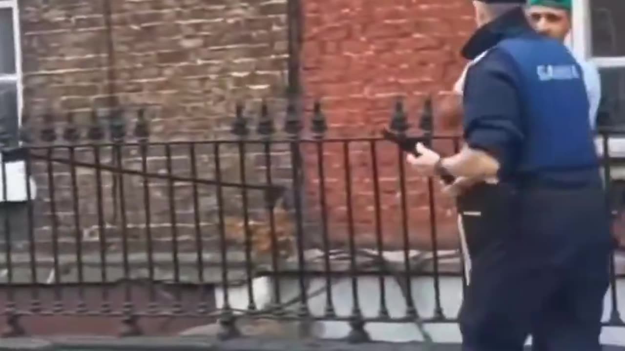 Gardai hands out a beating to a 3rd world invader.