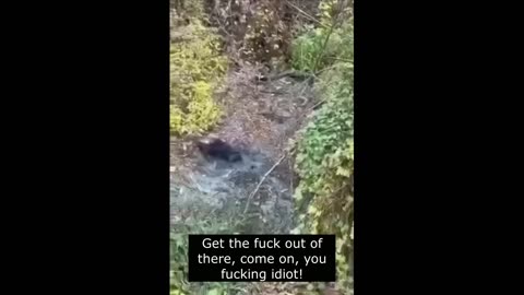 Ukraine war combat footage 11/4/25