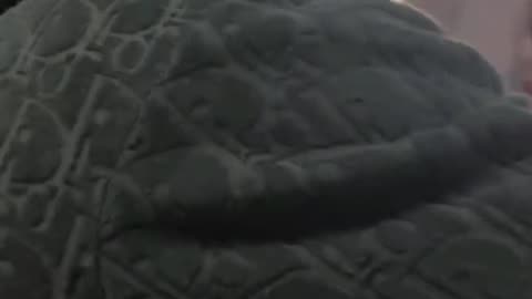 Hasbulla Gets Chased by a Mob of Fans in New York City