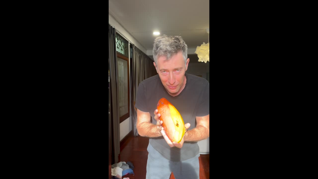 The World's BIGGEST Mango -- Thailand