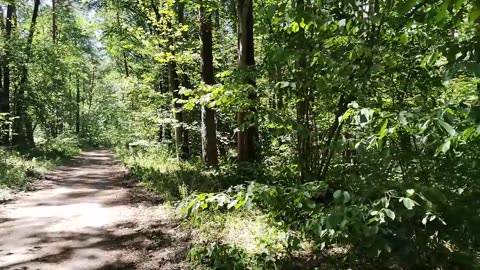 z pochyloną głową ...