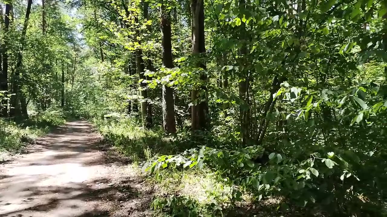 z pochyloną głową ...