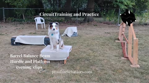 Circuit Training and Practice evening clips d