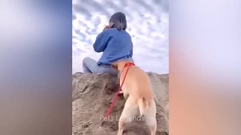 Kompilasi Hewan Lucu 2023 🐶😹 Kucing & Anjing Bikin Ngakak!