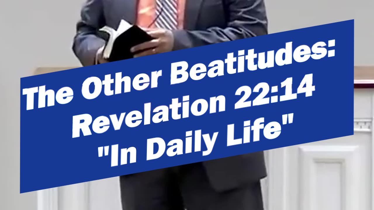 How to Experience the "Tree of Life" in Your Daily Life (Proverbs)