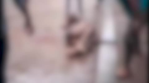 চাঁদা না দেওয়ায় প্রকাশ্য দিবালোকে পাথর মেরে ব্যবসায়ীকে নির্মমভাবে হত্যা করলো যুবদল নেতারা