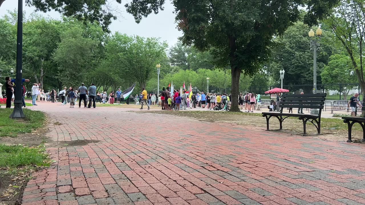 Live - DC - Protest - White House
