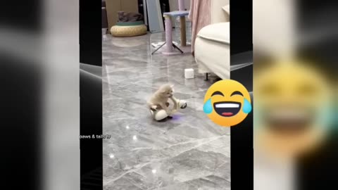 Funniest animal moment ever