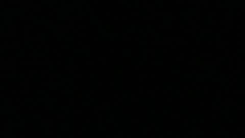 Keeping Up With The Jones's Flimflamdemic Anxiety Babies