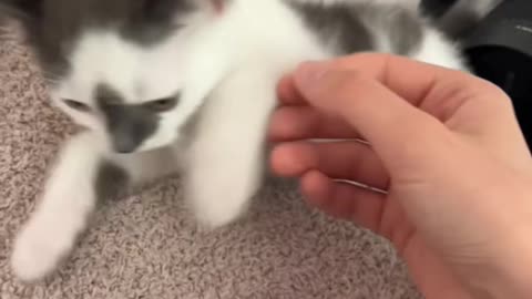 Sweet baby loves yelling at me