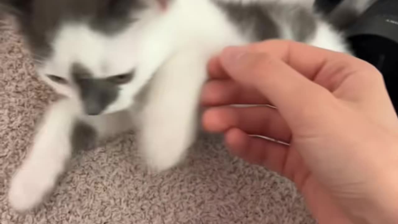 Sweet baby loves yelling at me