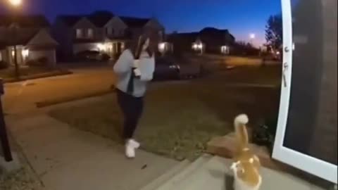 Kitty Goes Postal on Moth