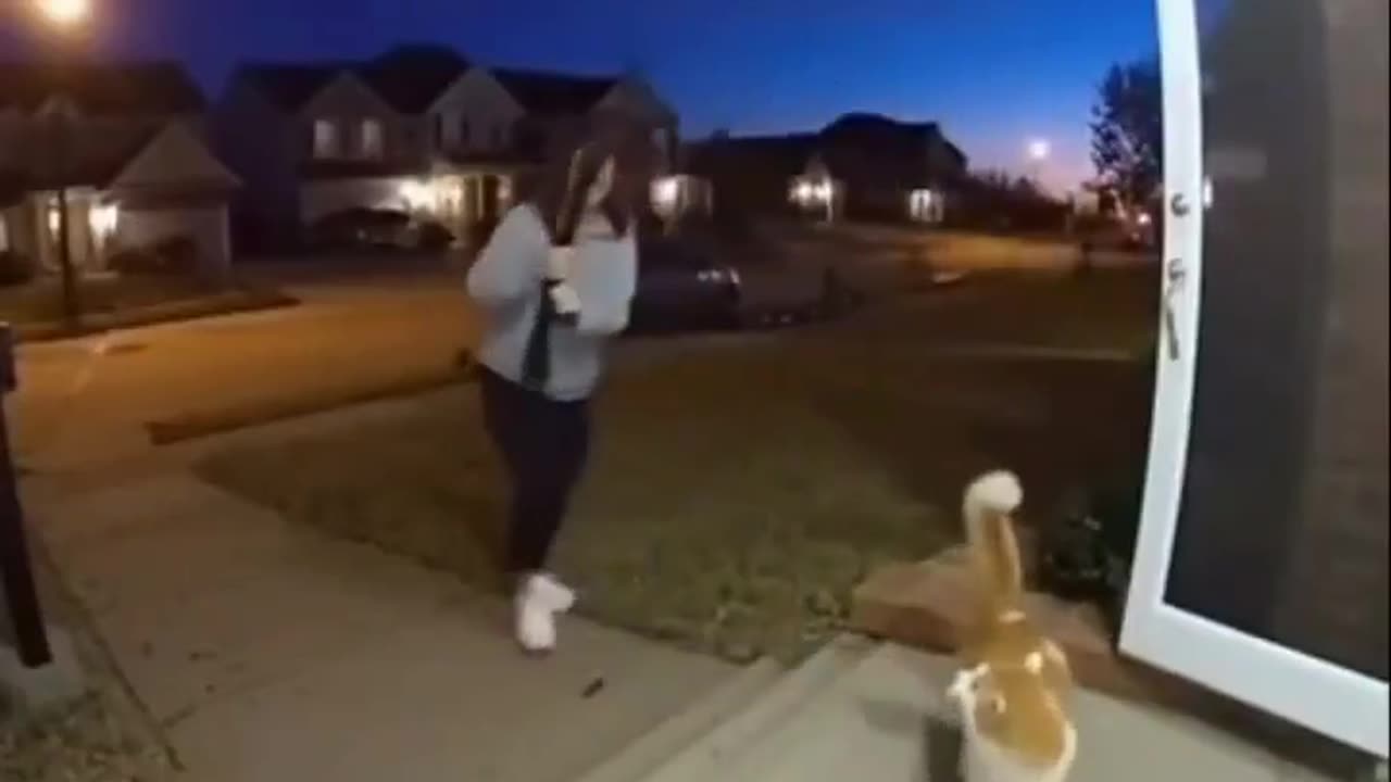 Kitty Goes Postal on Moth