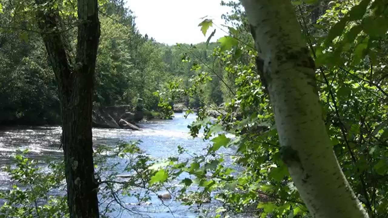 0minutes2relax_-_River_Through_the_Trees_Creative_Commons_Attribution_License