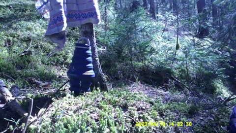 ANCORA MOLTISSIMA LEGNA DAL BOSCO (10 APRILE 2023) [V° PARTE]