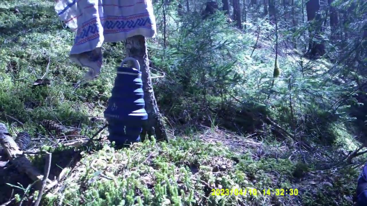 ANCORA MOLTISSIMA LEGNA DAL BOSCO (10 APRILE 2023) [V° PARTE]