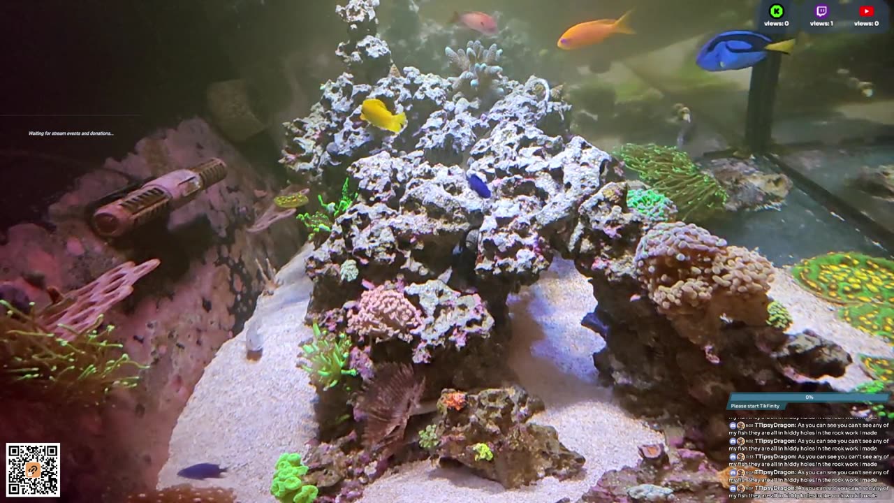 24/7 Real Live Reef Stream