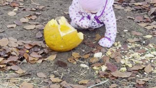 Baby Kayla Chasing the Bunnies — Backyard Adventure 🐇
