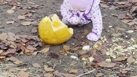 Baby Kayla Chasing the Bunnies — Backyard Adventure 🐇