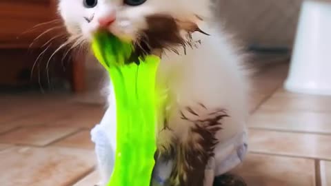 The Muddy Misadventures:From Bath Time to Chaos!💚💚