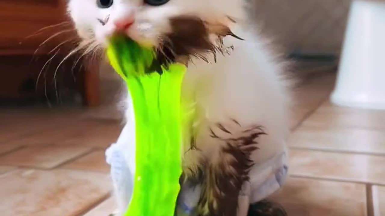 The Muddy Misadventures:From Bath Time to Chaos!💚💚