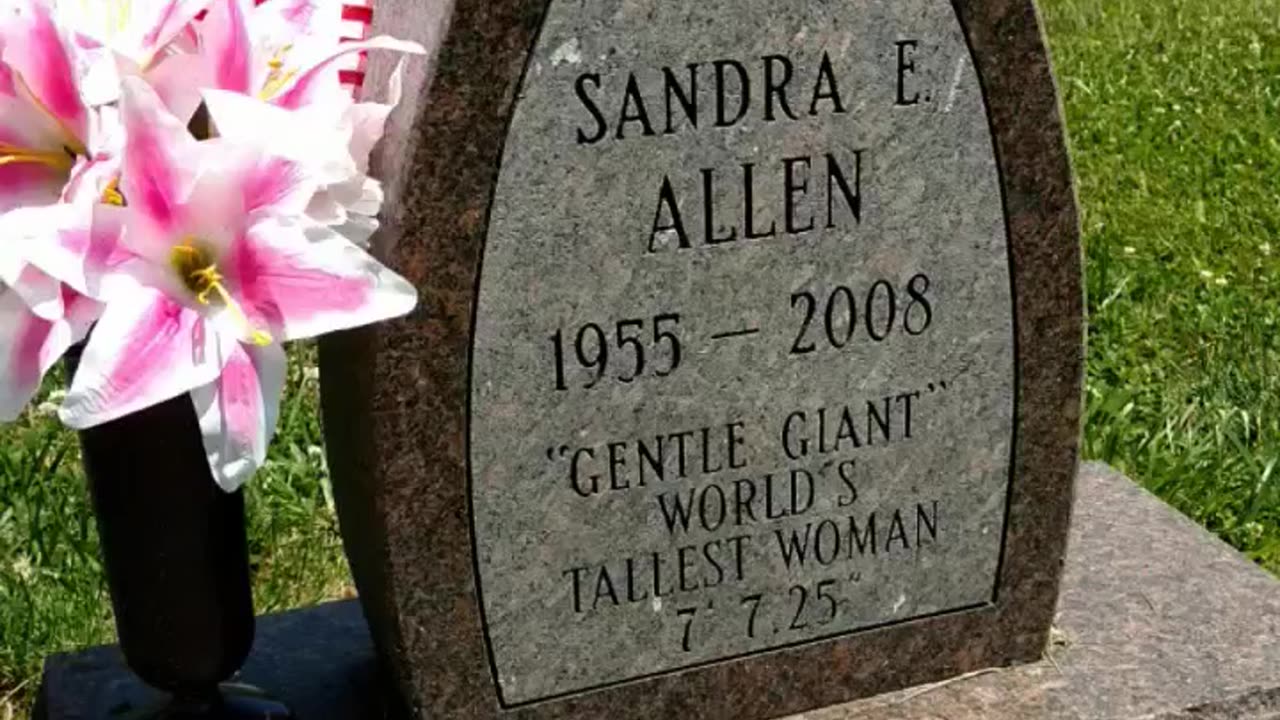 FAMOUS GRAVES - VOL. 451: SANDY ALLEN