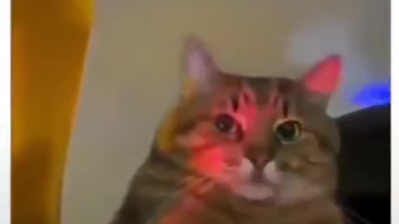 That Moment When... You Too Old For The Club