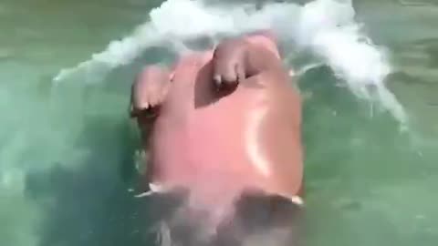Jamp in water