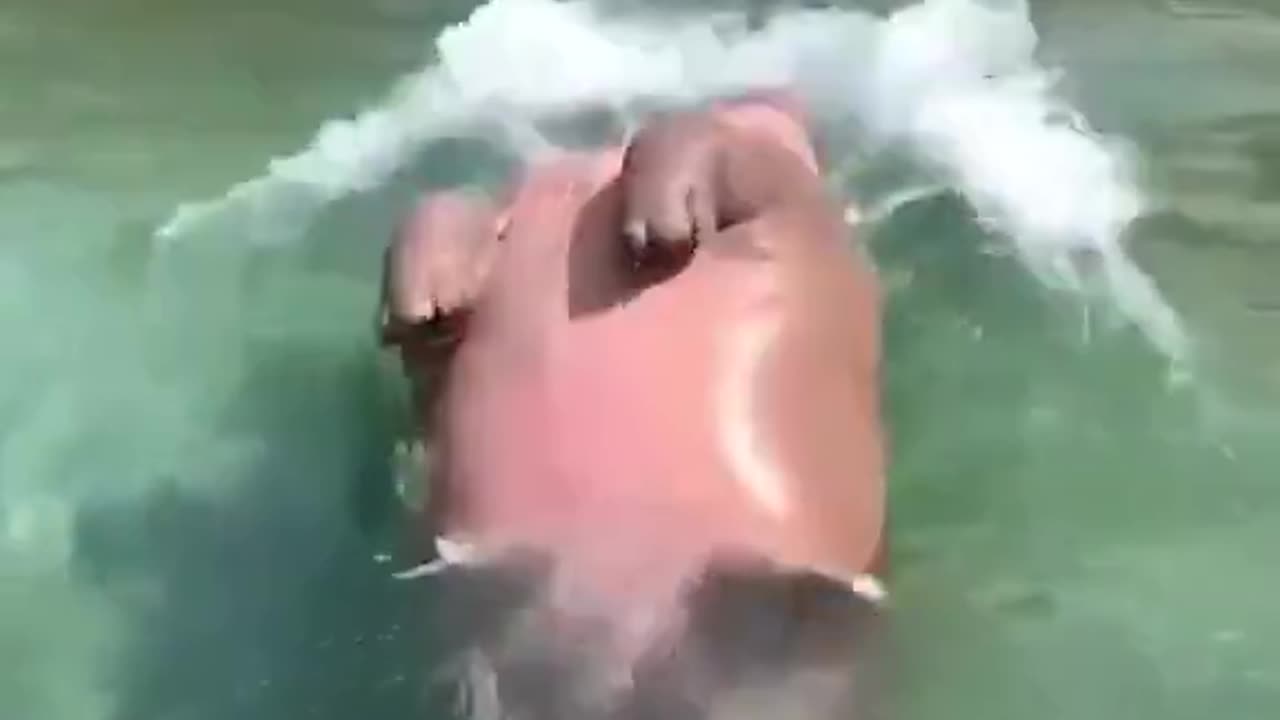 Jamp in water