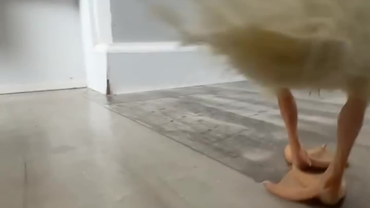 That one duck edit.