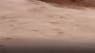 😂🌊 You Won't Believe This Jeep Flood Adventure! | FunFM
