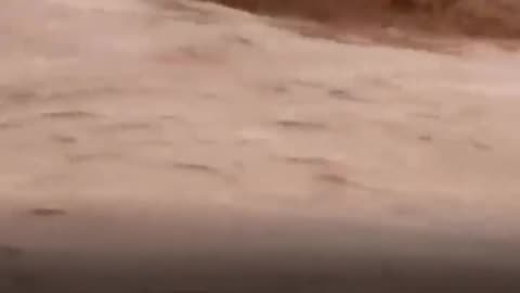 😂🌊 You Won't Believe This Jeep Flood Adventure! | FunFM
