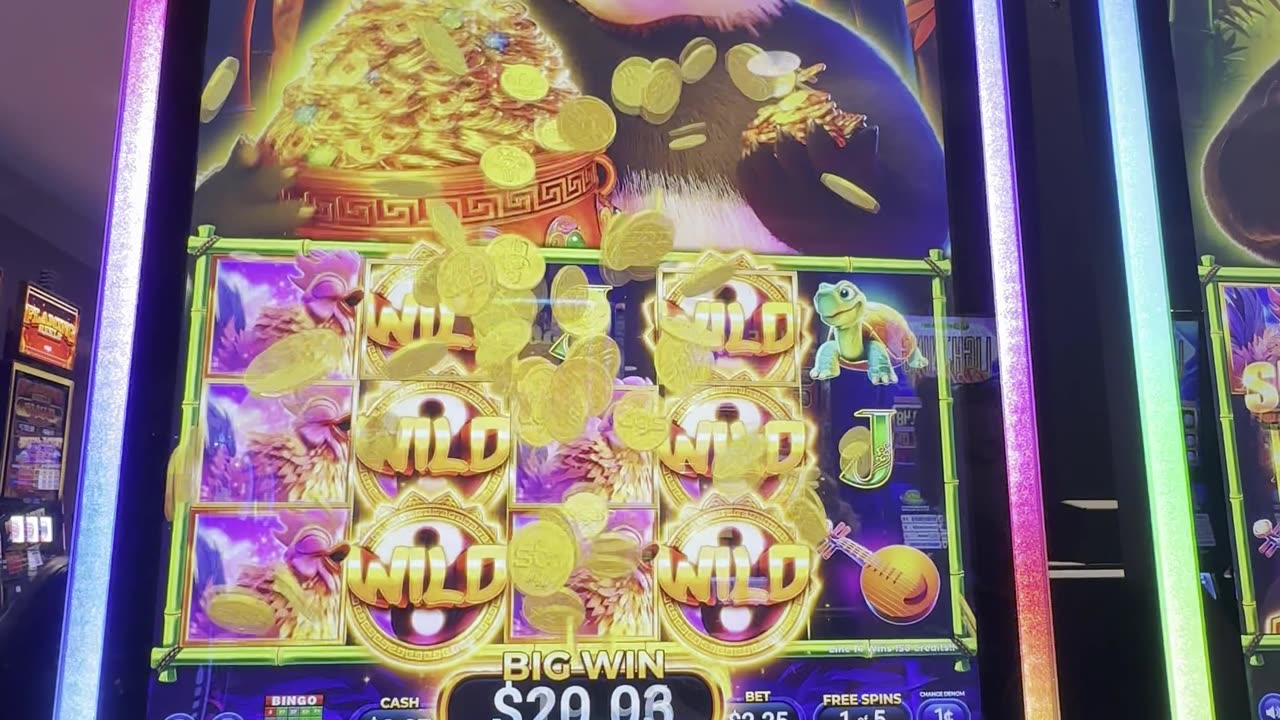 Panda Empire bonus 🐼🎰💵