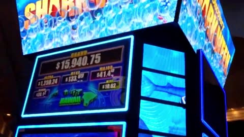 Ferocious casino sharks in Las Vegas: Get lucky on a video slot machine with big teeth and jackpots