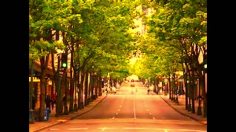 Street Tree / Sanctuary Church