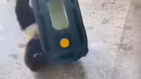 LOL