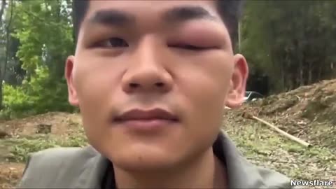 Funny videos