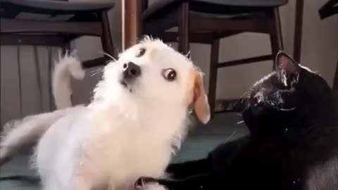 The side eye.. 😂
