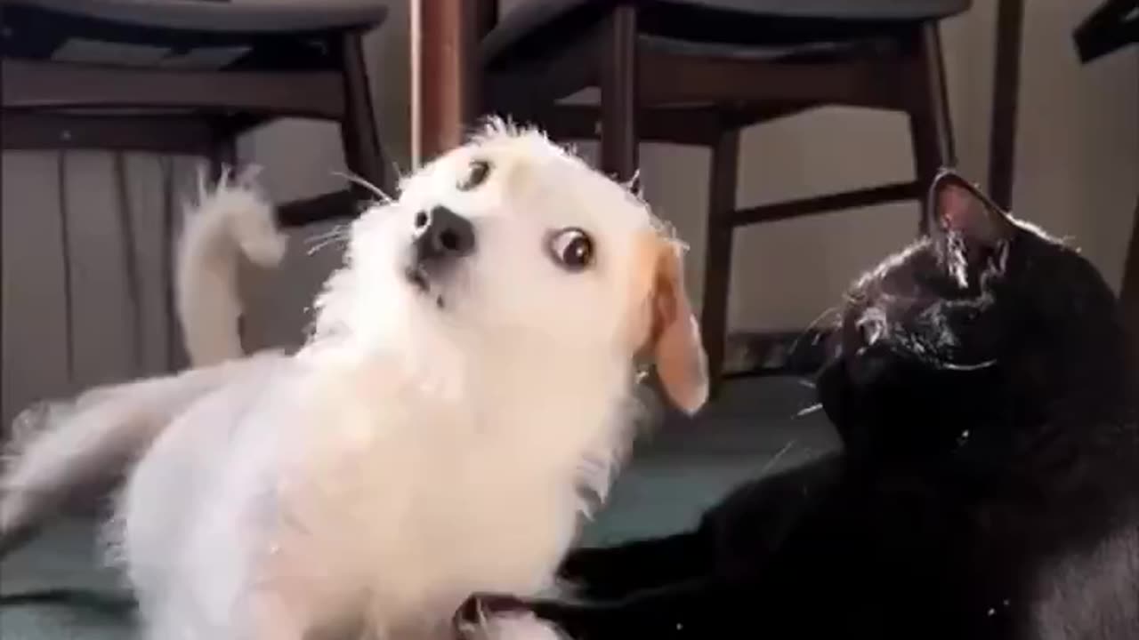 The side eye.. 😂