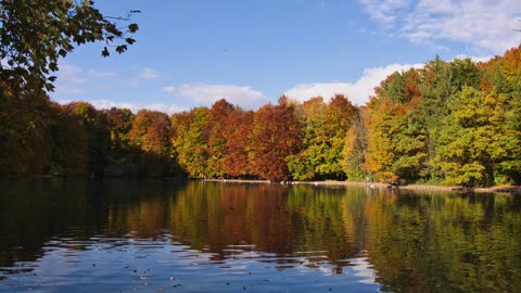 God's Touch - Acute Pancreatitis (Jeff Osburn)