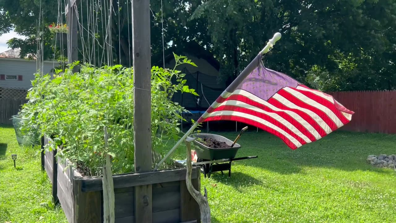 Summer Garden Feeding Time
