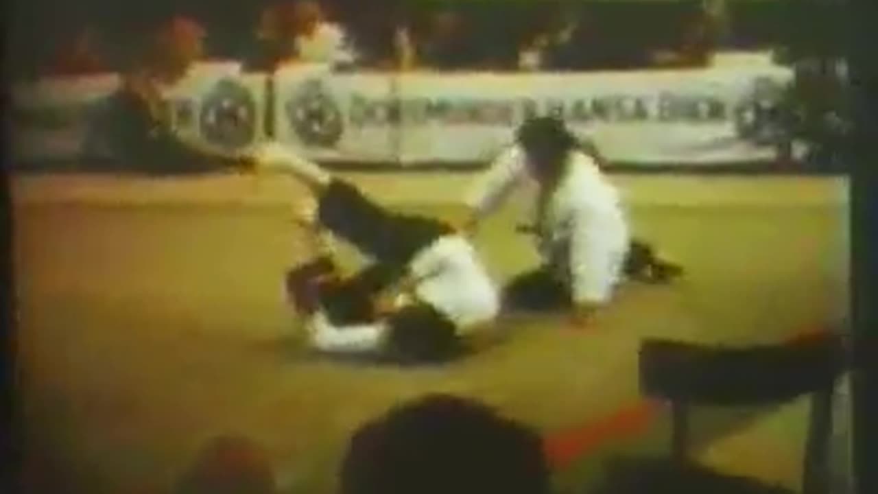 Hapkido