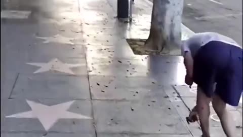 There is no reason for Hollywood to be like this.