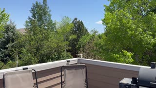 What a lovely day today
