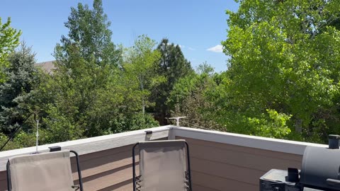 What a lovely day today