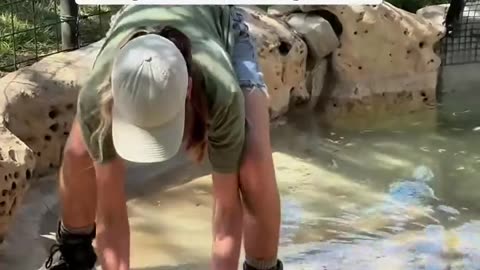 😂🦛 Baby Hippo Refuses to Leave the Pool! Adorable Fail! | FunFM