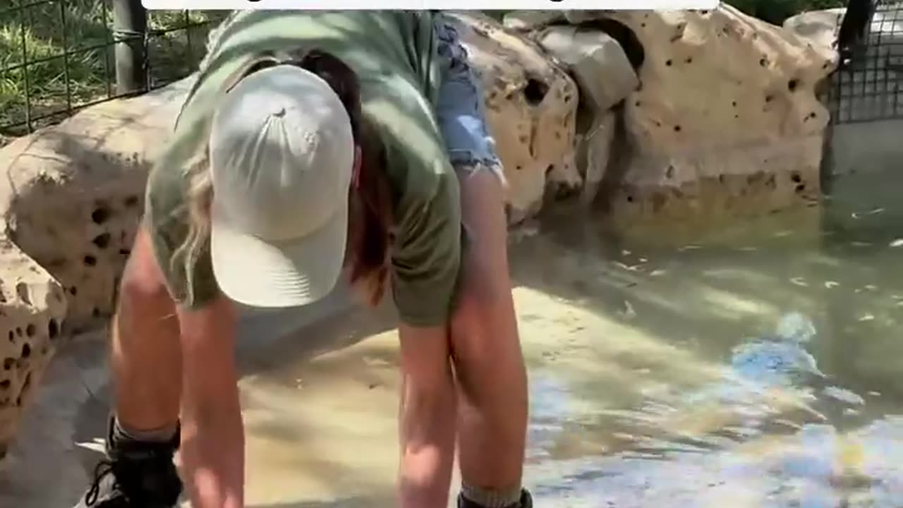 😂🦛 Baby Hippo Refuses to Leave the Pool! Adorable Fail! | FunFM