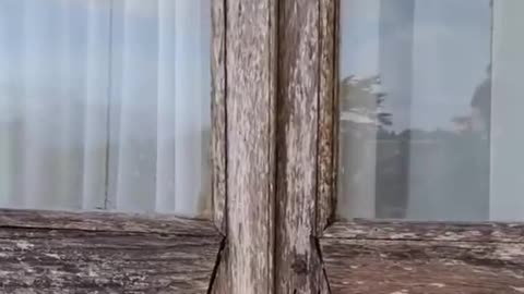 P.7 proof that the Rothchilds’ family was raided between 2018 - 2020 (Defender Europe)